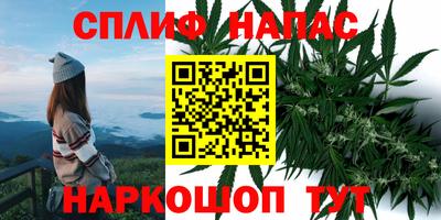 дживик Бийск