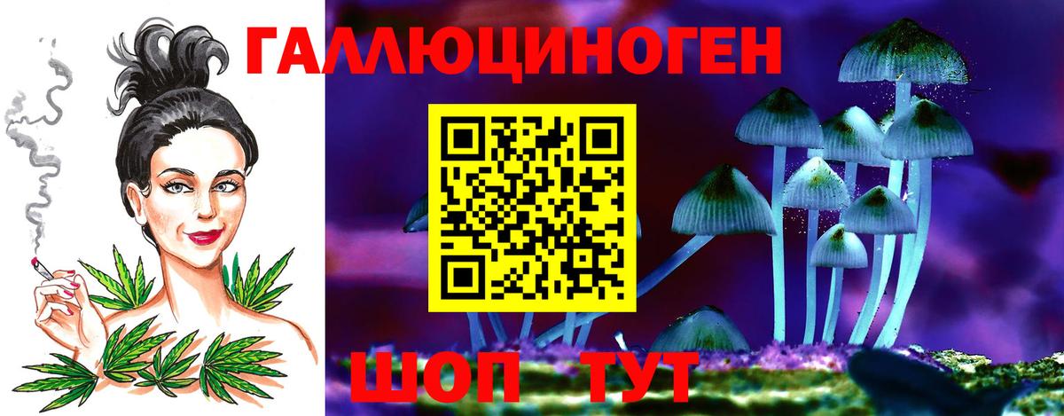 Псилоцибиновые грибы Psilocybe Балаково